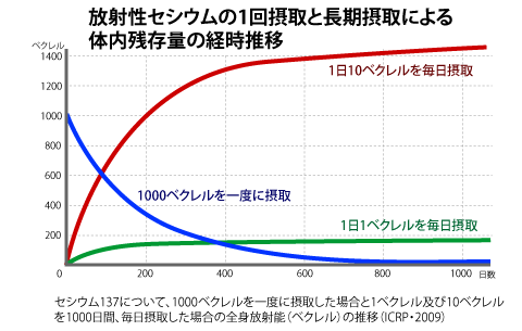 毎日摂取した場合の放射能の推移